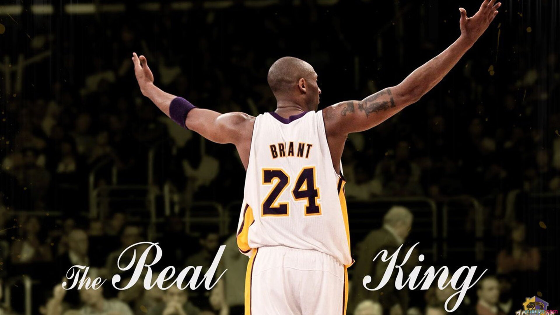 中国篮球联赛裁判员心理素质培养方法,论篮球裁判员的基本素质培养